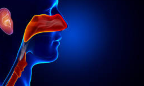 Top ENT Specialists in Hyderabad