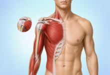 Rotator cuff repair surgery in Hyderabad showing shoulder tendon injury treatment